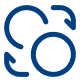Online Payment